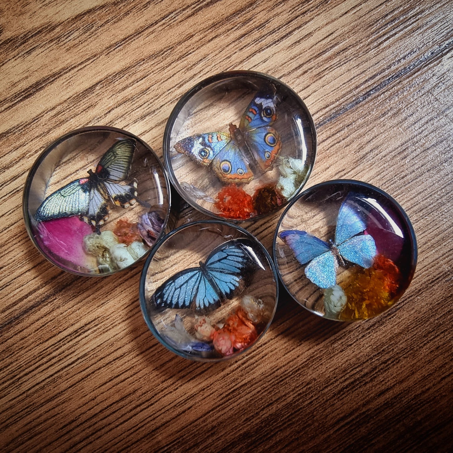 Enchanted forest, butterflies with real flowers and moss. Paper Butterfly in resin plugs, sizes 16mm and up.