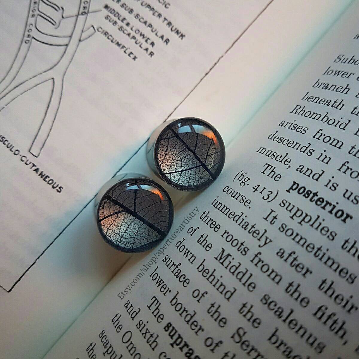 Skeleton Leaf plugs. For PAIR nature, enchanted forest, leaf plugs in sizes 10mm and up