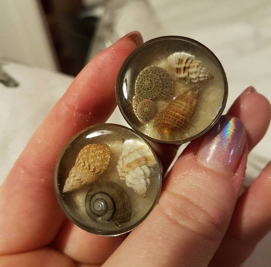 Seashell plugs with sand plugs. FOR PAIR. Real natural seashells in a resin plug