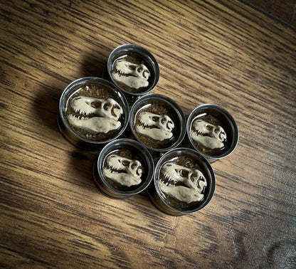 plug earrings with a 3d dinosaur skull insert on a wooden background