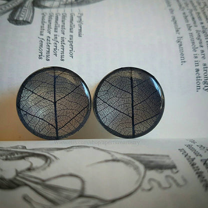 The photo shows our skeleton leaf plugs on a book background, these plugs are transparent but have skeleton leaf attached to show the intricate veins and designs on a real leaf. They come in dark blue/black