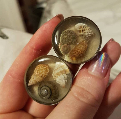 Two round decorative plug earrings with embedded shells held in a hand.