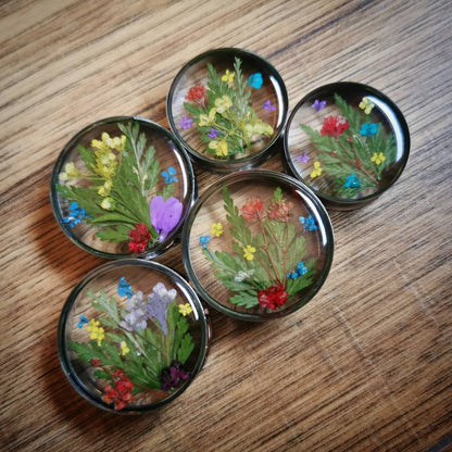 Five round plug earrings with pressed flowers on a wooden surface