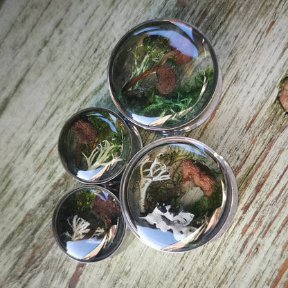 Four metallic plug earrings with natural imagery on a wooden surface