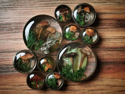 Collection of round plug earrings with nature-themed designs on a wooden surface