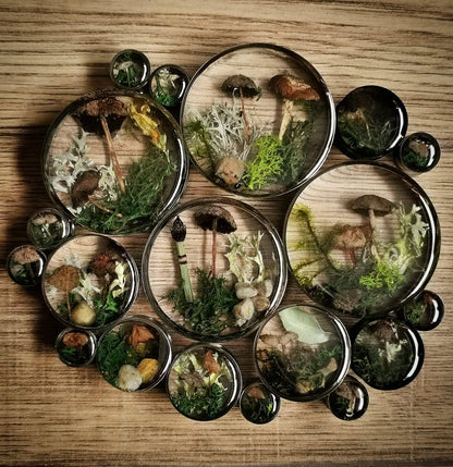 Four metallic plug earrings with natural imagery on a wooden surface