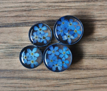 Four blue flower plug earrings on a wooden surface