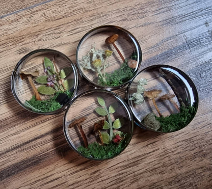 Four round plug earrings with natural-themed designs on a wooden surface.