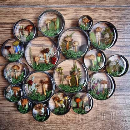 Collection of circular plug earrings with mushroom designs on a wooden surface