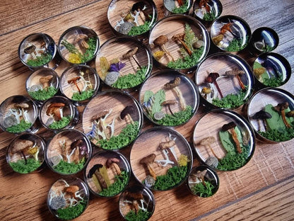 Collection of round plug earrings with nature-themed designs on a wooden surface