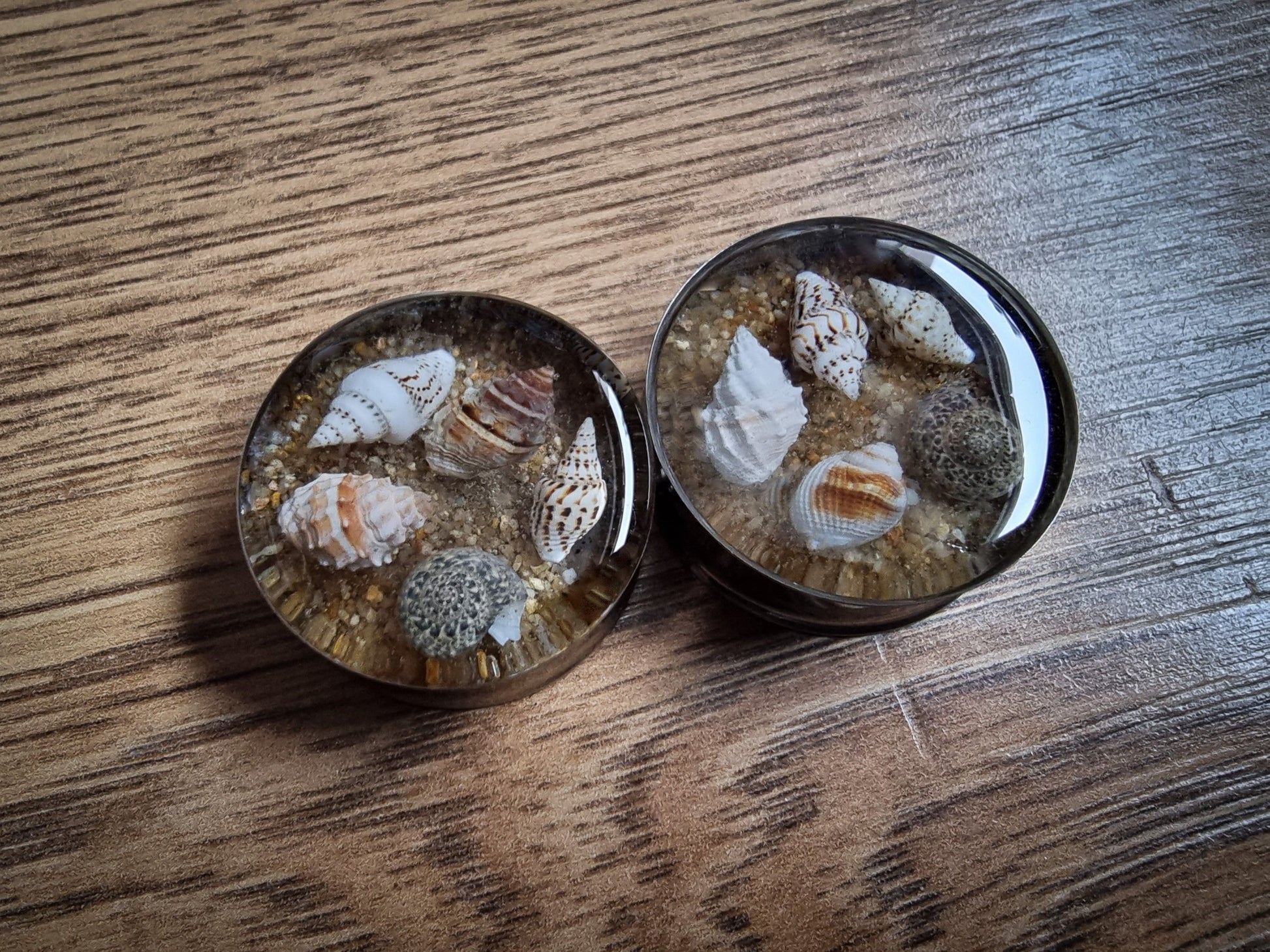 Seashell plugs with sand plugs. FOR PAIR. Real natural seashells in a resin plug