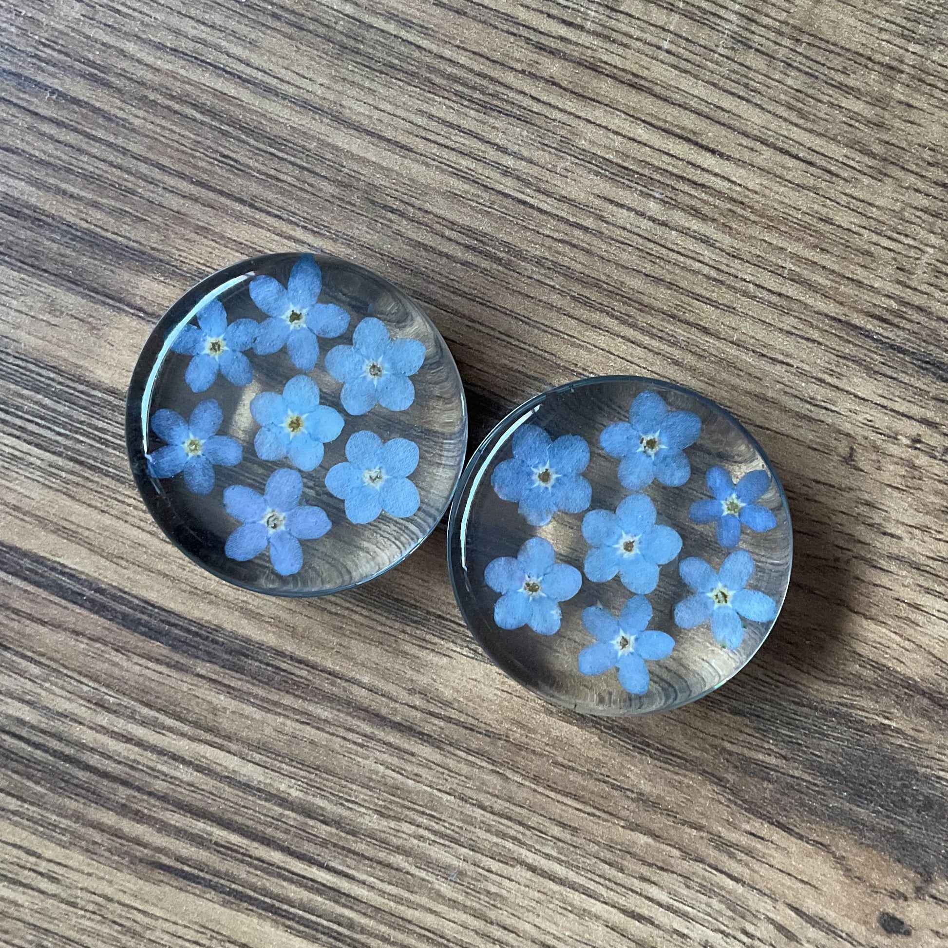 A pair of large resin plugs for stretched ears. They contain carefully set out blue forget me not flowers on a wood background.