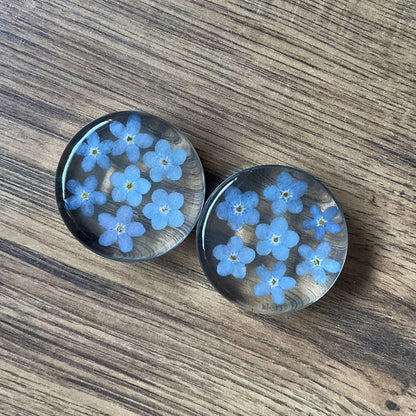 A pair of large resin plugs for stretched ears. They contain carefully set out blue forget me not flowers on a wood background.