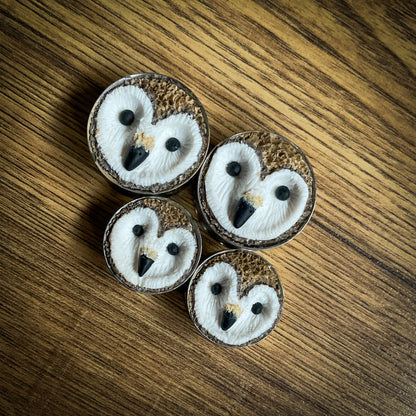 Four owl-themed plug earrings on a wooden surface