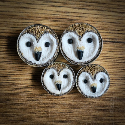 Four owl-shaped plug earrings on a wooden surface