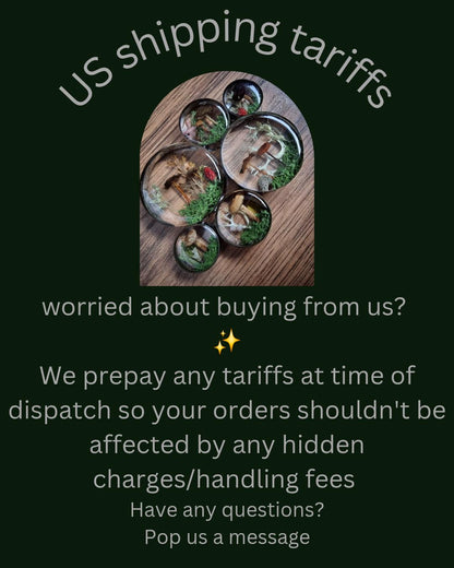 Collection of round plug earrings with nature-themed designs on a wooden surface with tariff information 